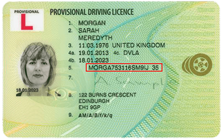 Driving Licence Sample
